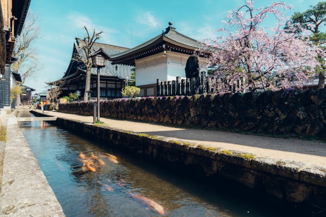 瀬戸川と白壁土蔵街